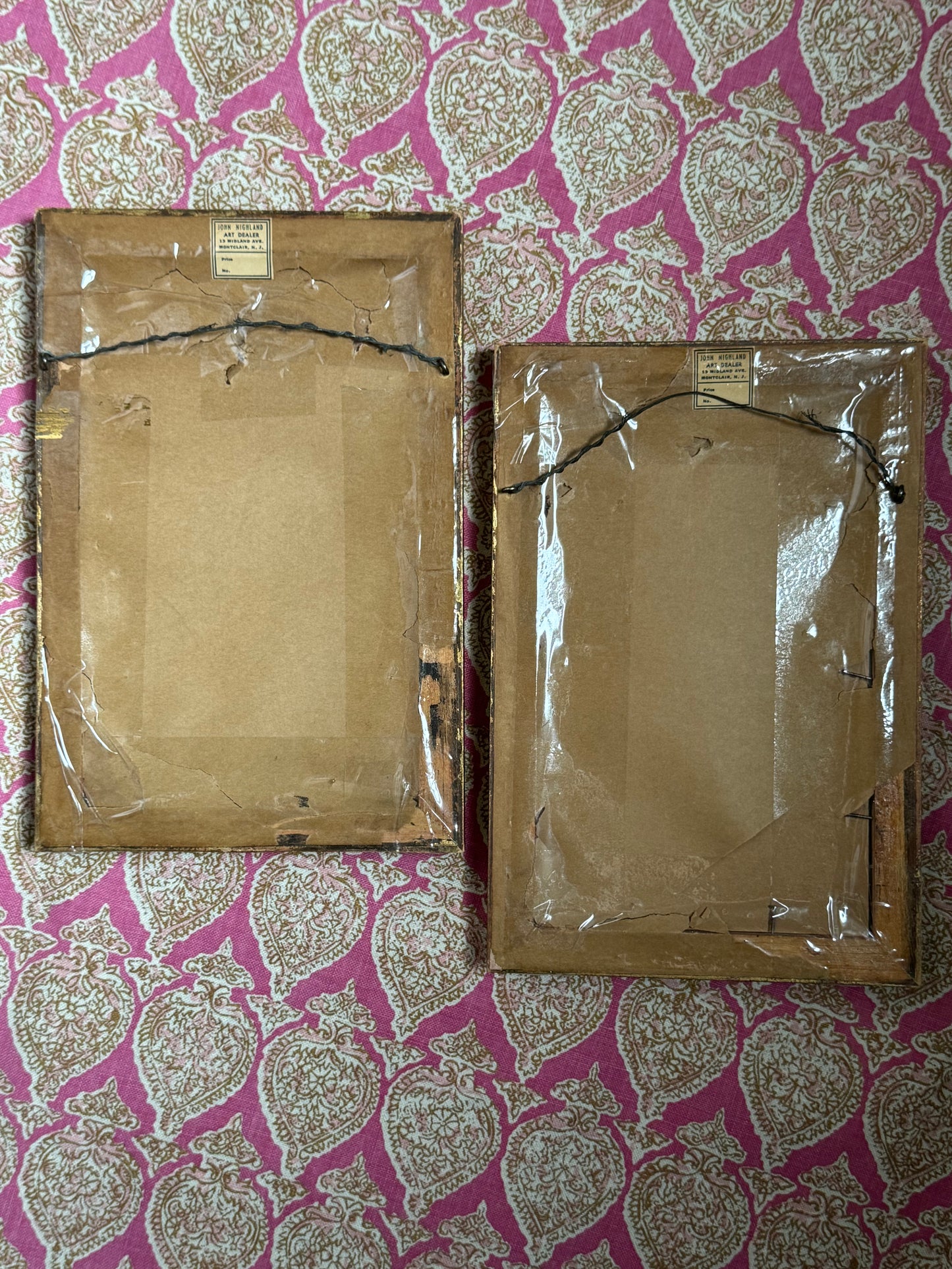 Pair of Framed Antique Botanicals