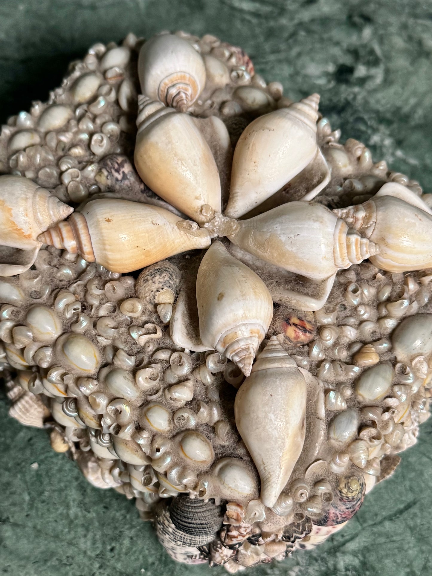 Wooden Shell Encrusted Box