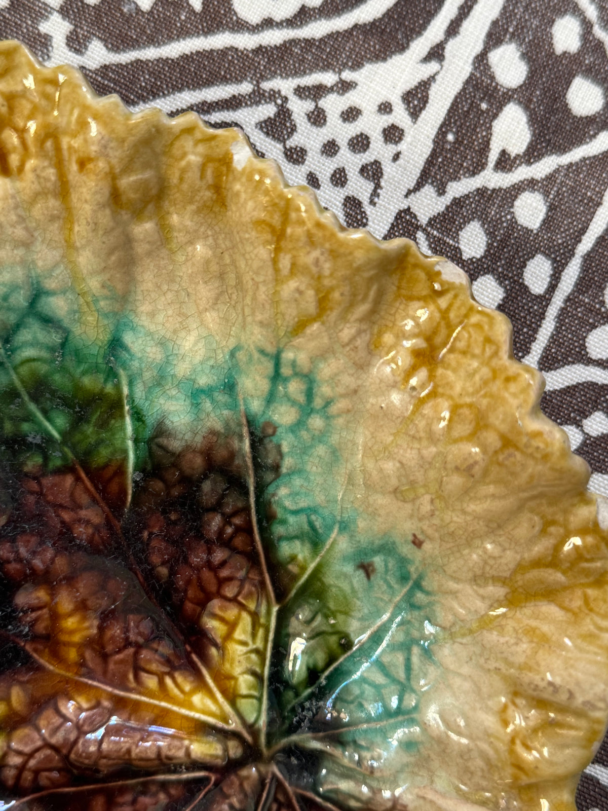 Majolica Begonia Leaf