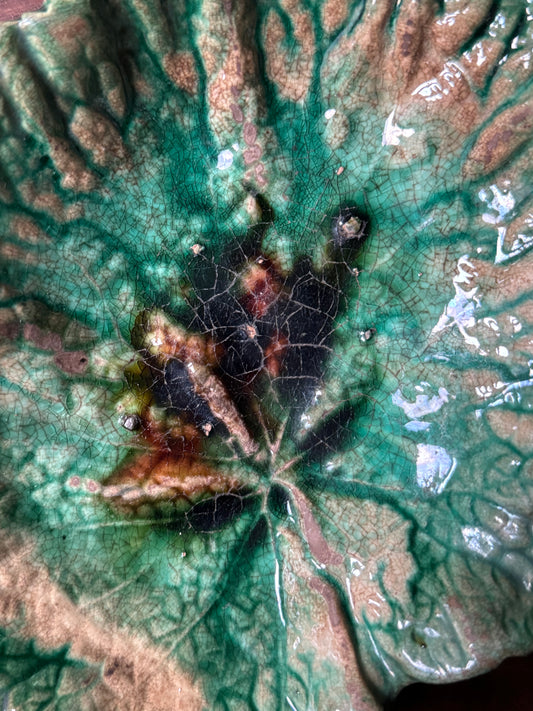 Antique Majolica Begonia Leaf