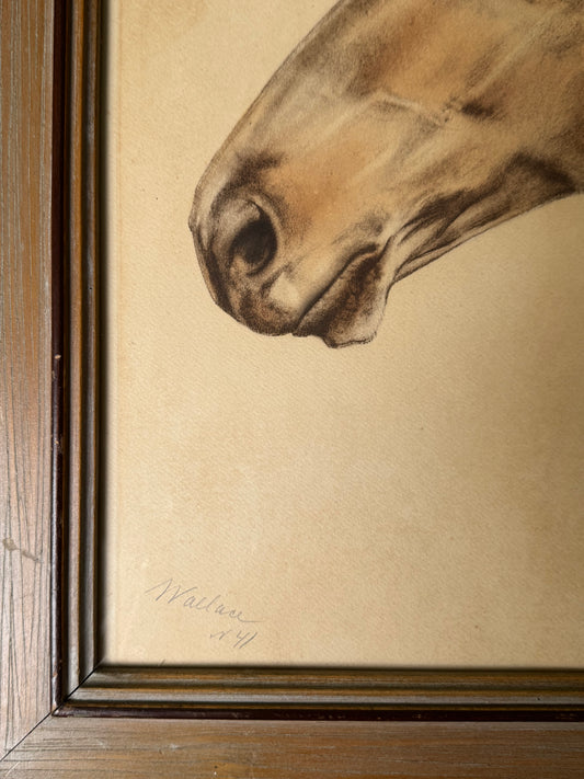 Framed Portrait of Seabiscuit