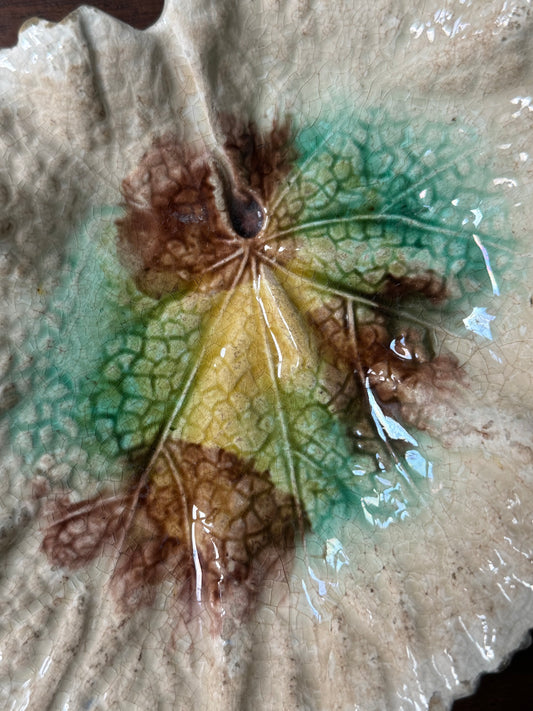 Antique Majolica Begonia Leaf