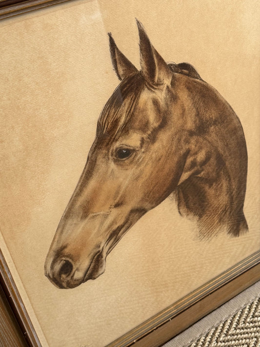 Framed Portrait of Seabiscuit