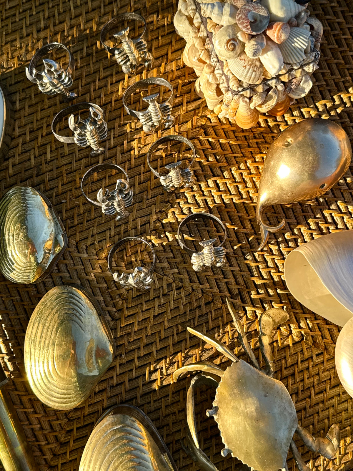 Coastal Curiosities