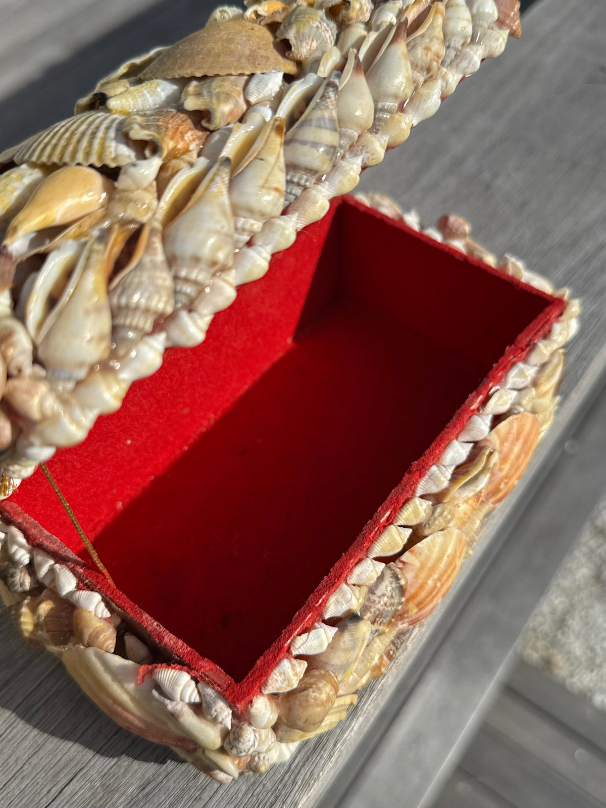 Vintage Sea Shell Box