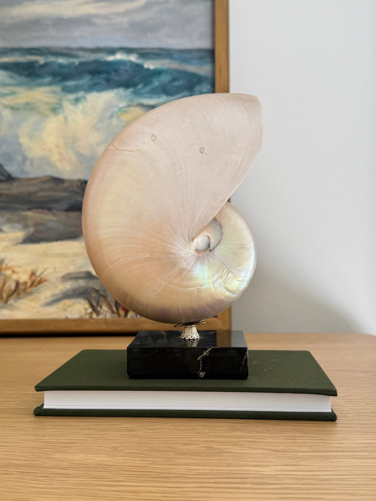 Nautilus Shell on Plinth