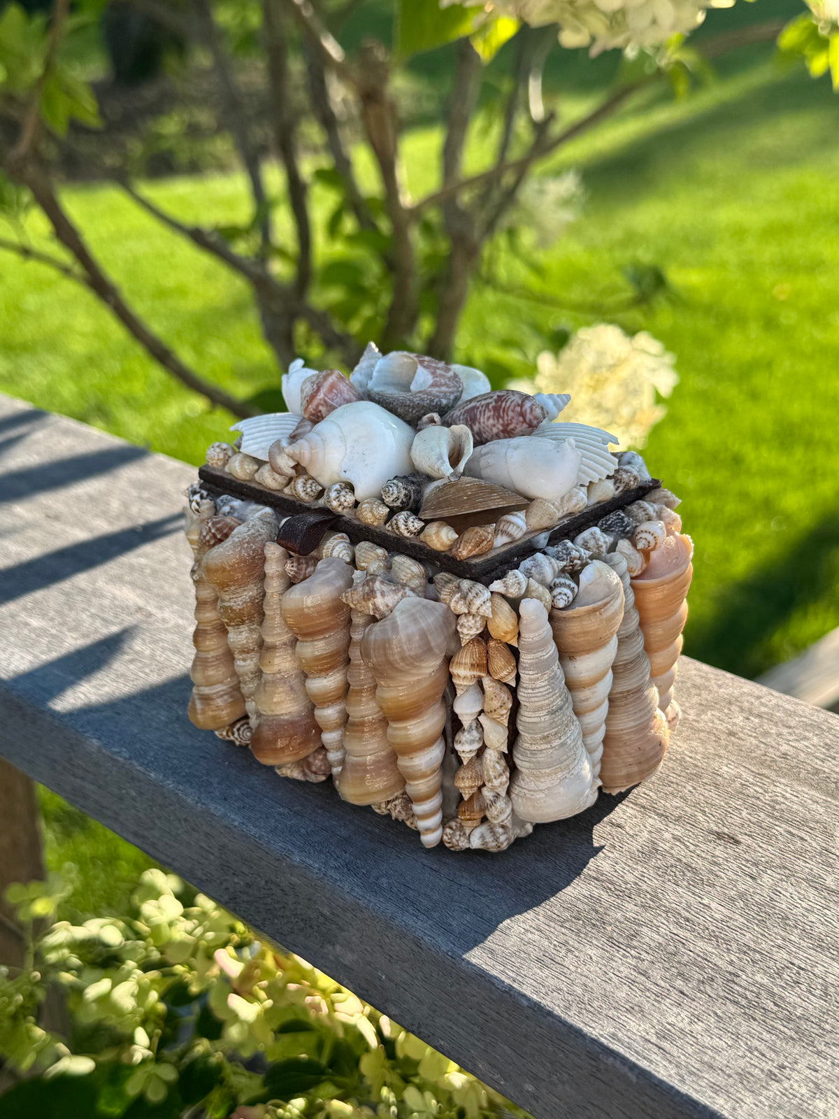 Vintage Sea Shell Box