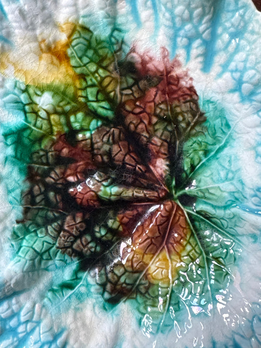 Antique Majolica Begonia Leaf