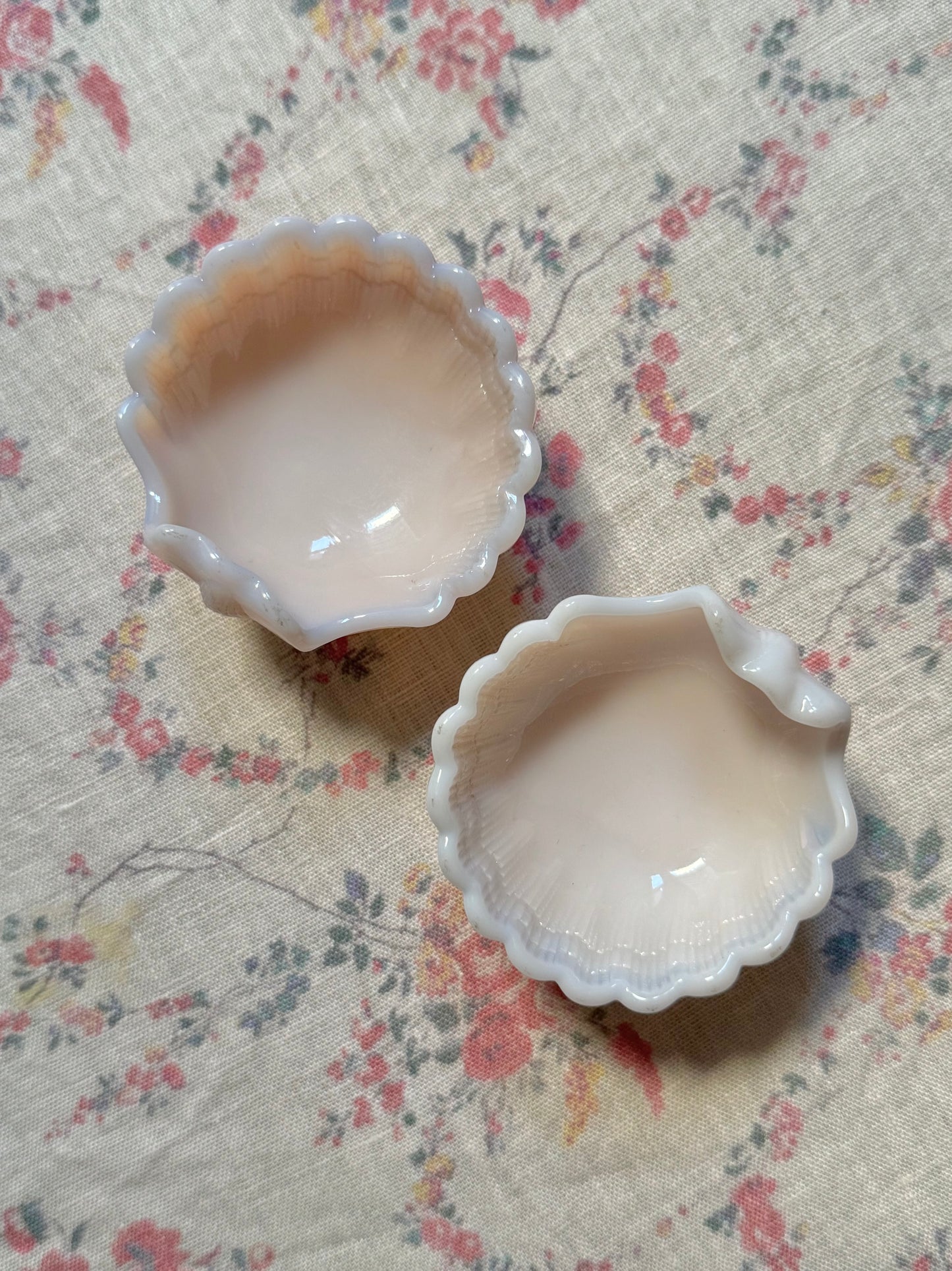 Pair of Pink Seashell Salt Cellars