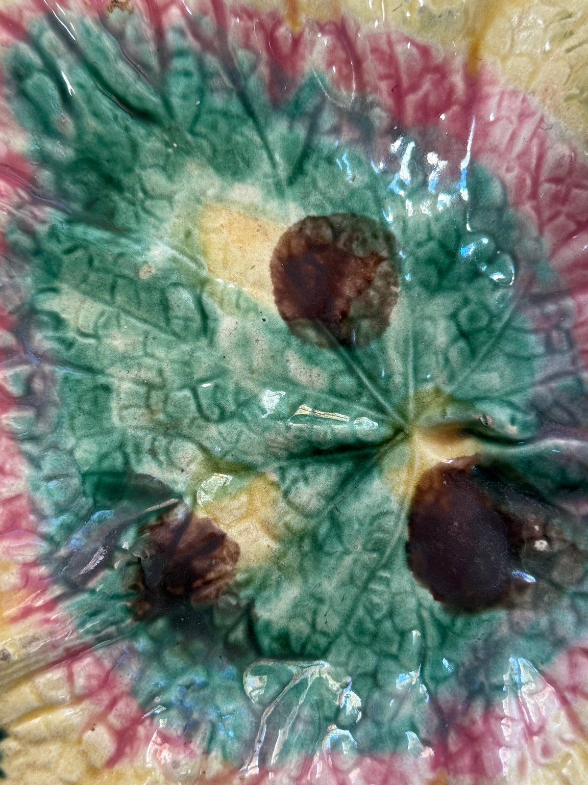 Majolica Begonia Leaf