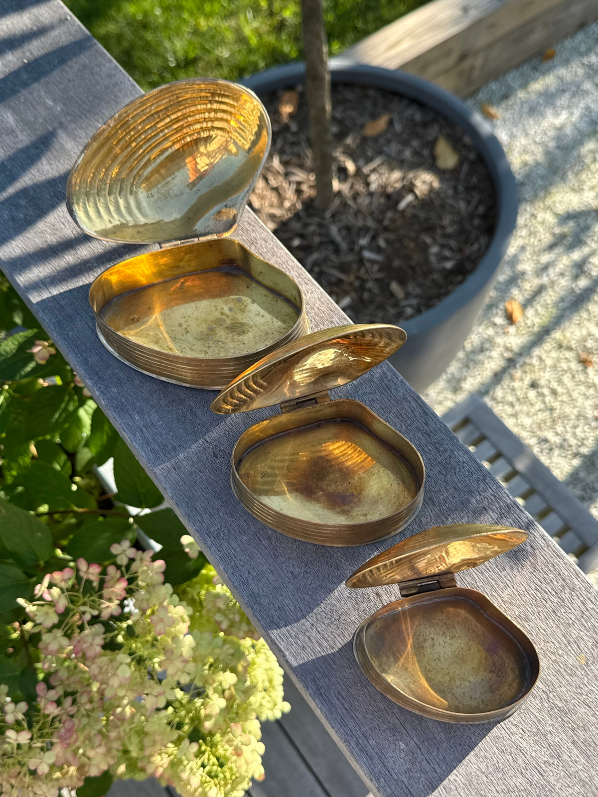 Nesting Brass Clam Boxes