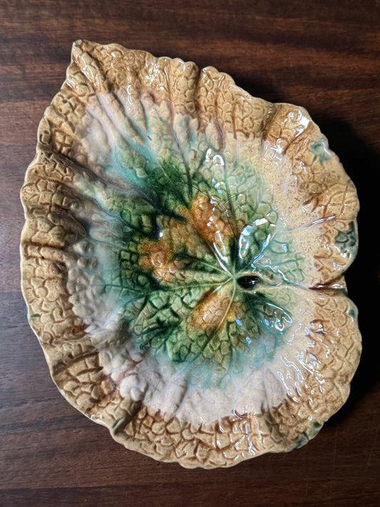 Etruscan Majolica Begonia Leaf
