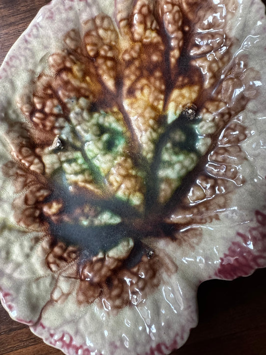 Antique Majolica Begonia Leaf