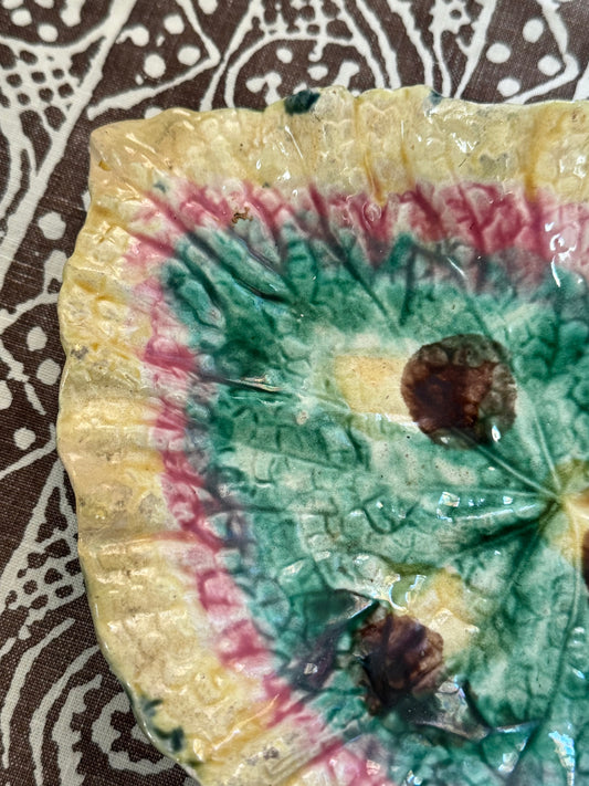 Majolica Begonia Leaf