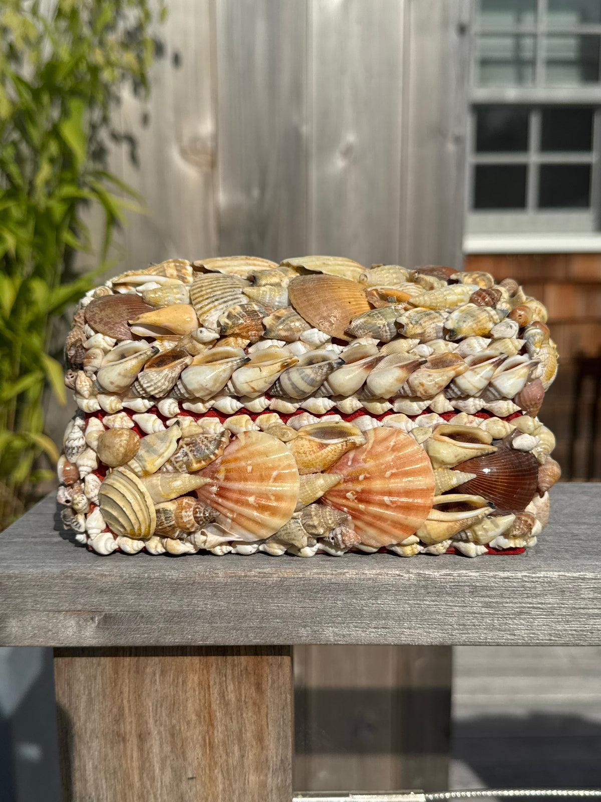 Vintage Sea Shell Box