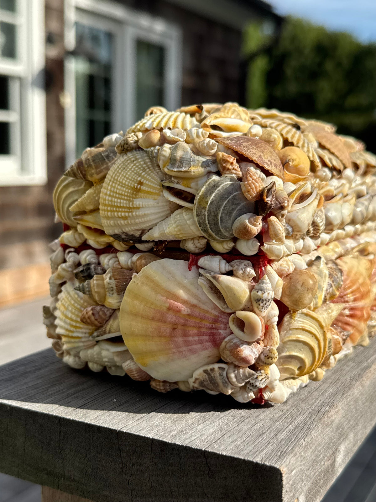 Vintage Sea Shell Box