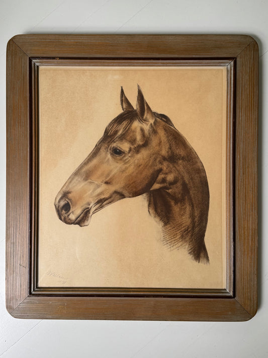 Framed Portrait of Seabiscuit
