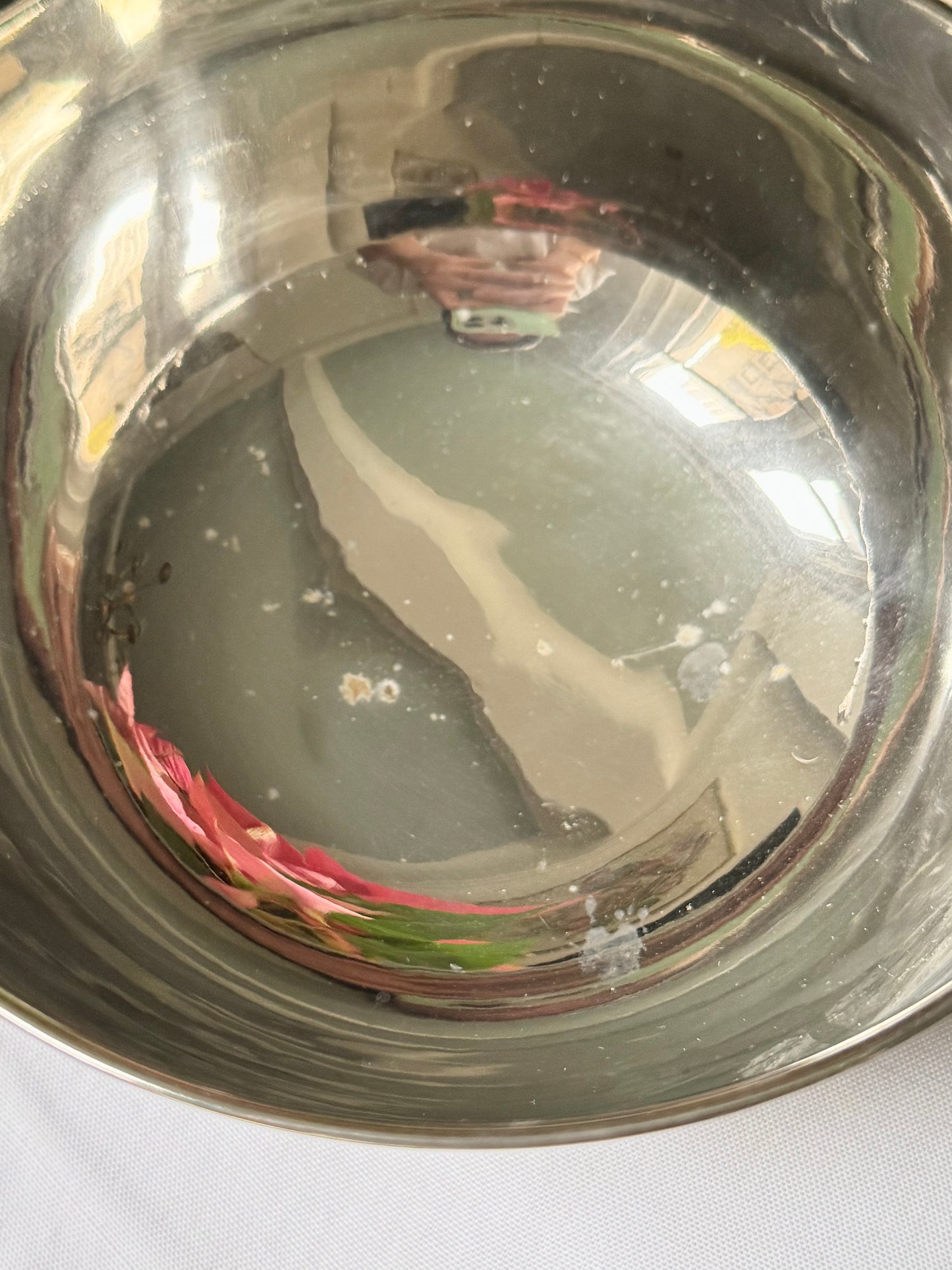 Medium Stag’s Head Bowl #2