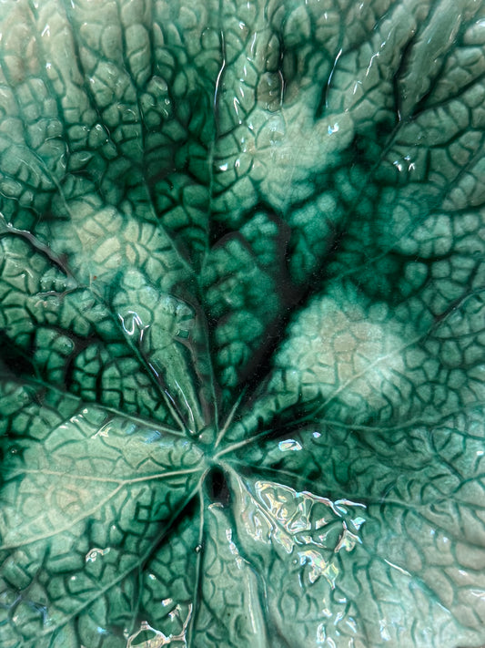 Majolica Begonia Leaf
