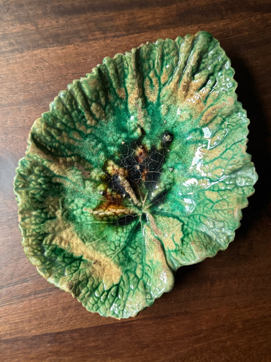 Antique Majolica Begonia Leaf
