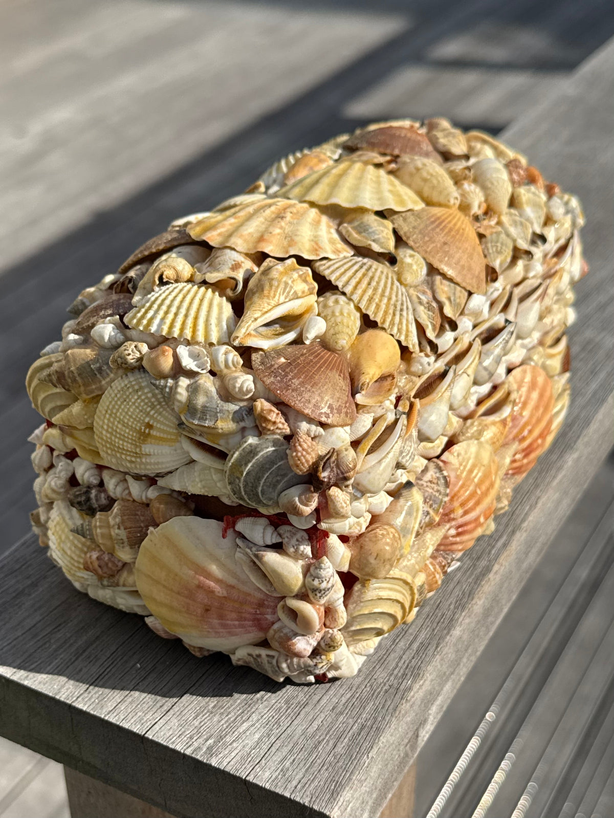 Vintage Sea Shell Box