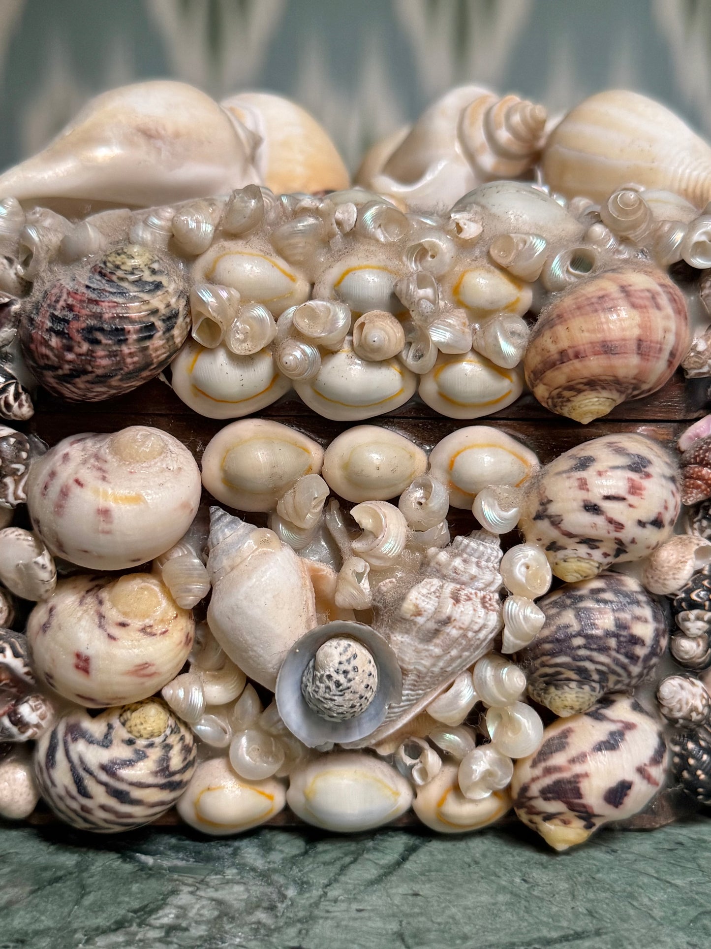 Wooden Shell Encrusted Box