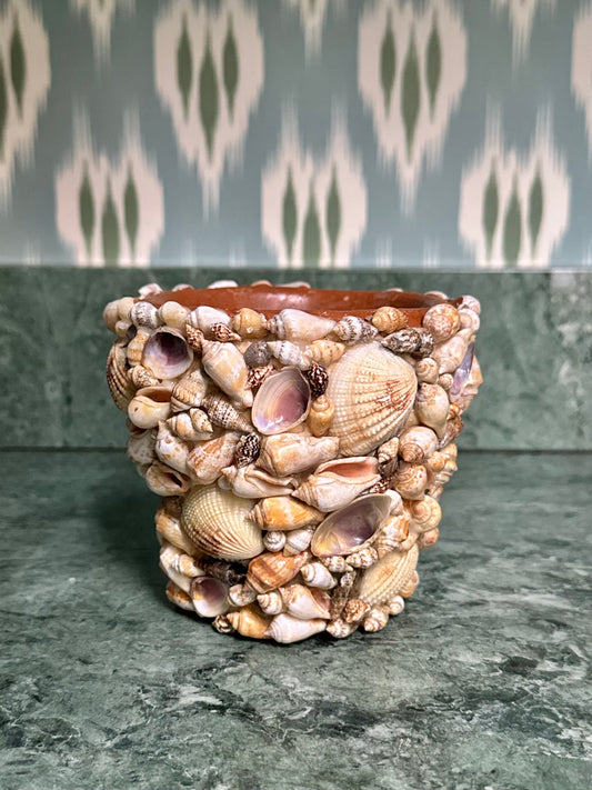 Seashell Encrusted Plant Pot