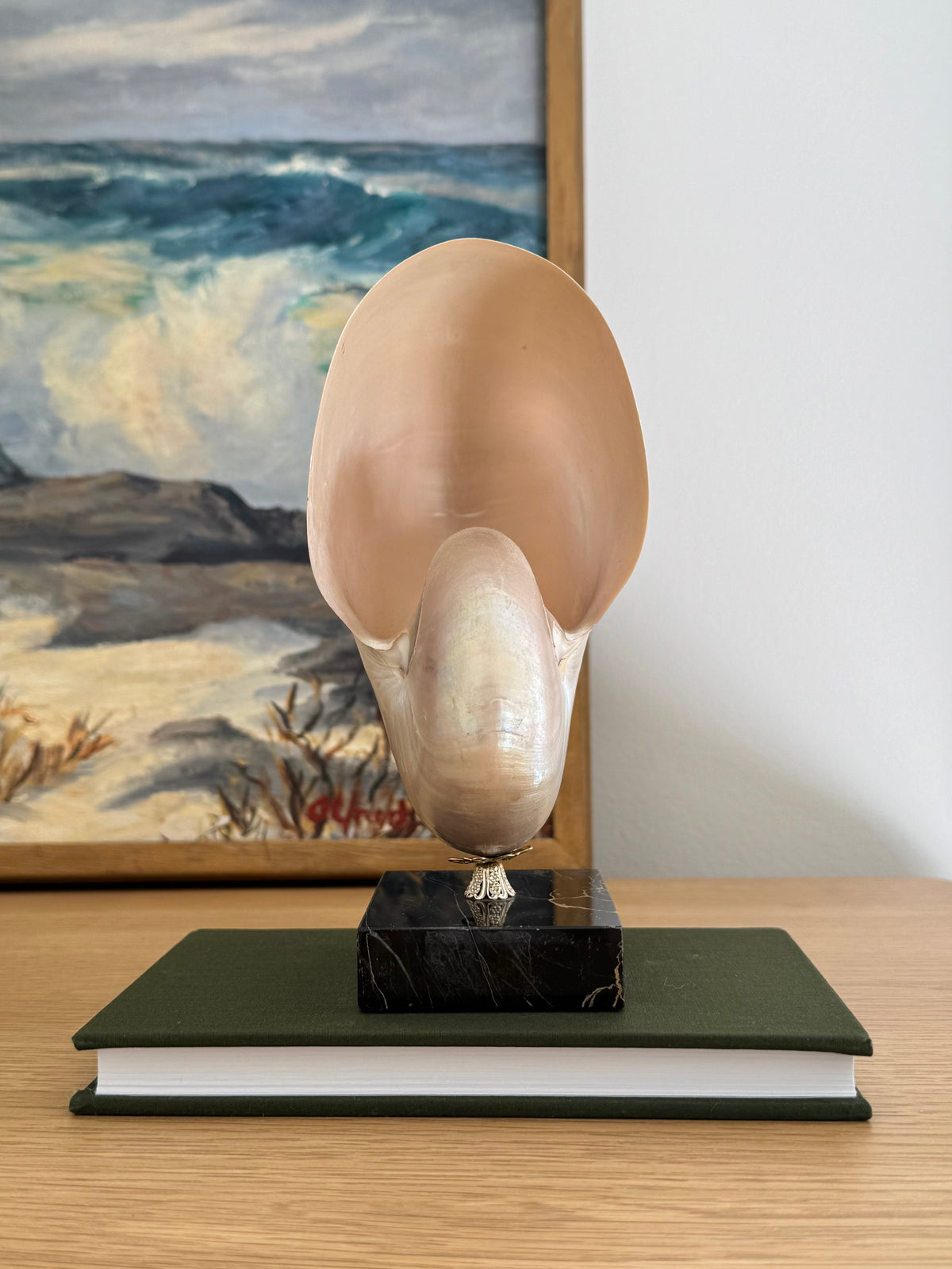 Nautilus Shell on Plinth