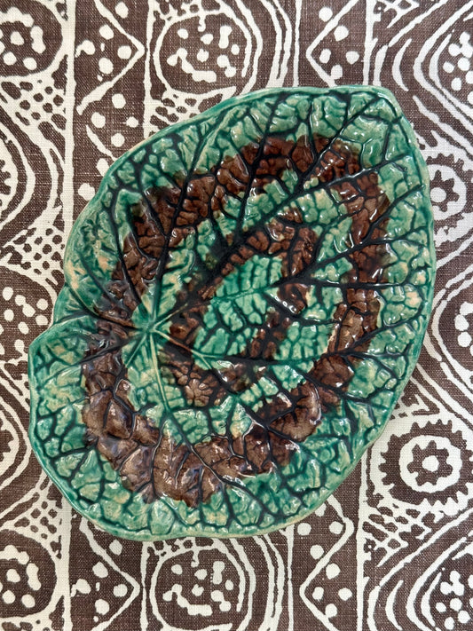 Majolica Begonia Leaf