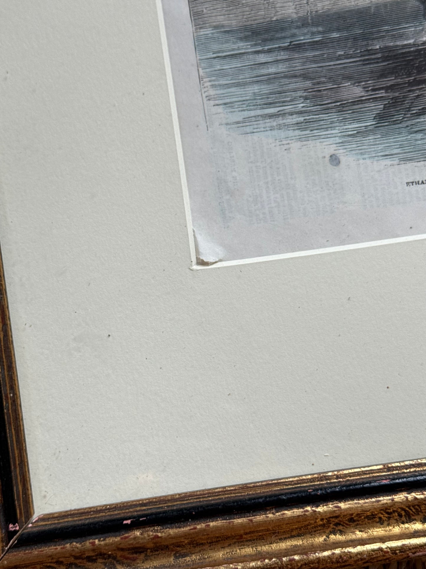 Antique Framed Horse Print