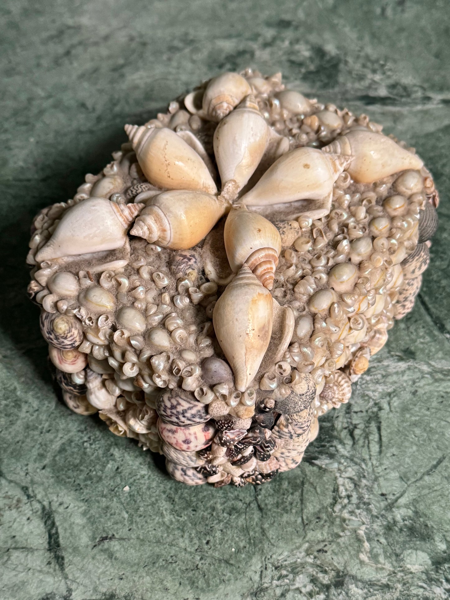 Wooden Shell Encrusted Box