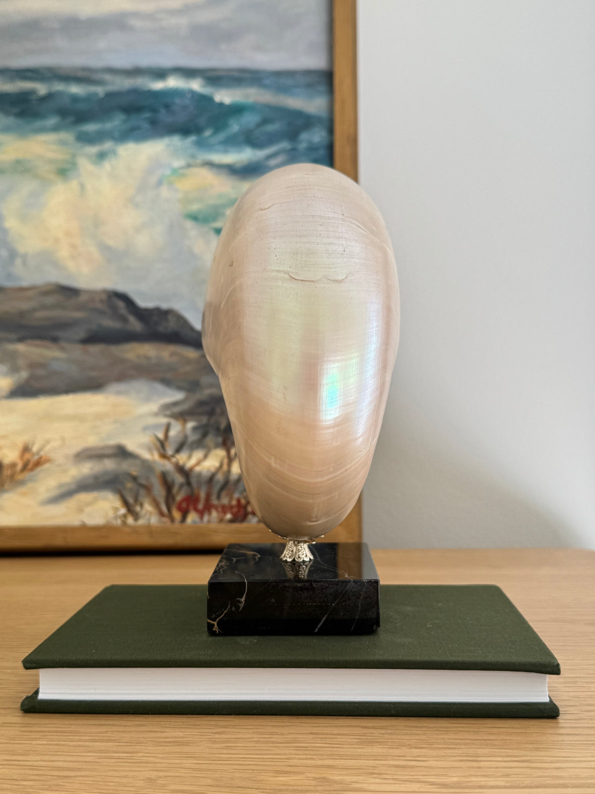 Nautilus Shell on Plinth