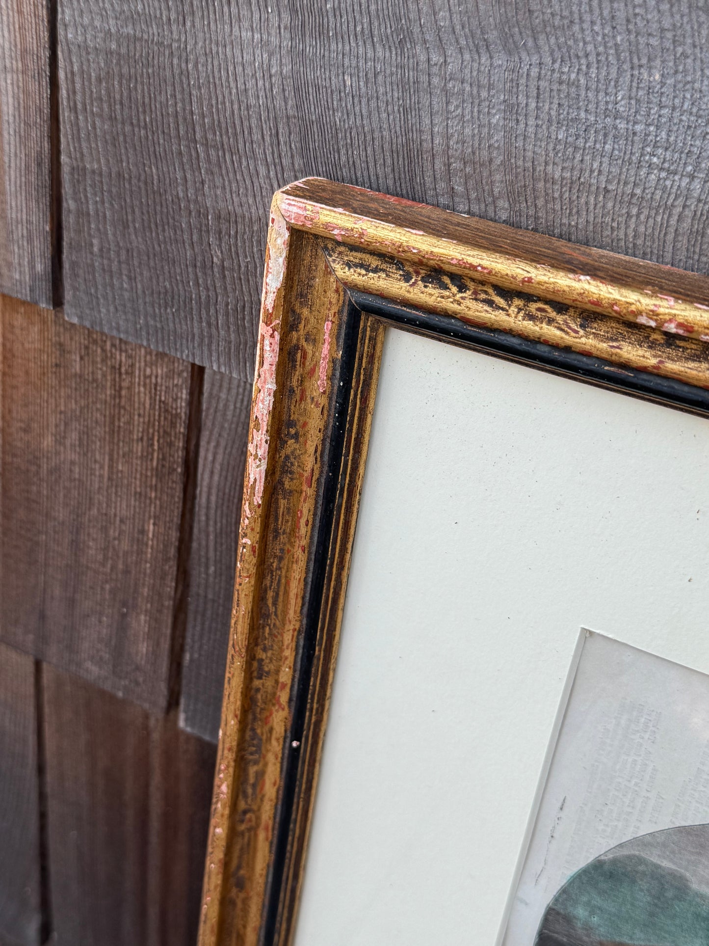 Antique Framed Horse Print