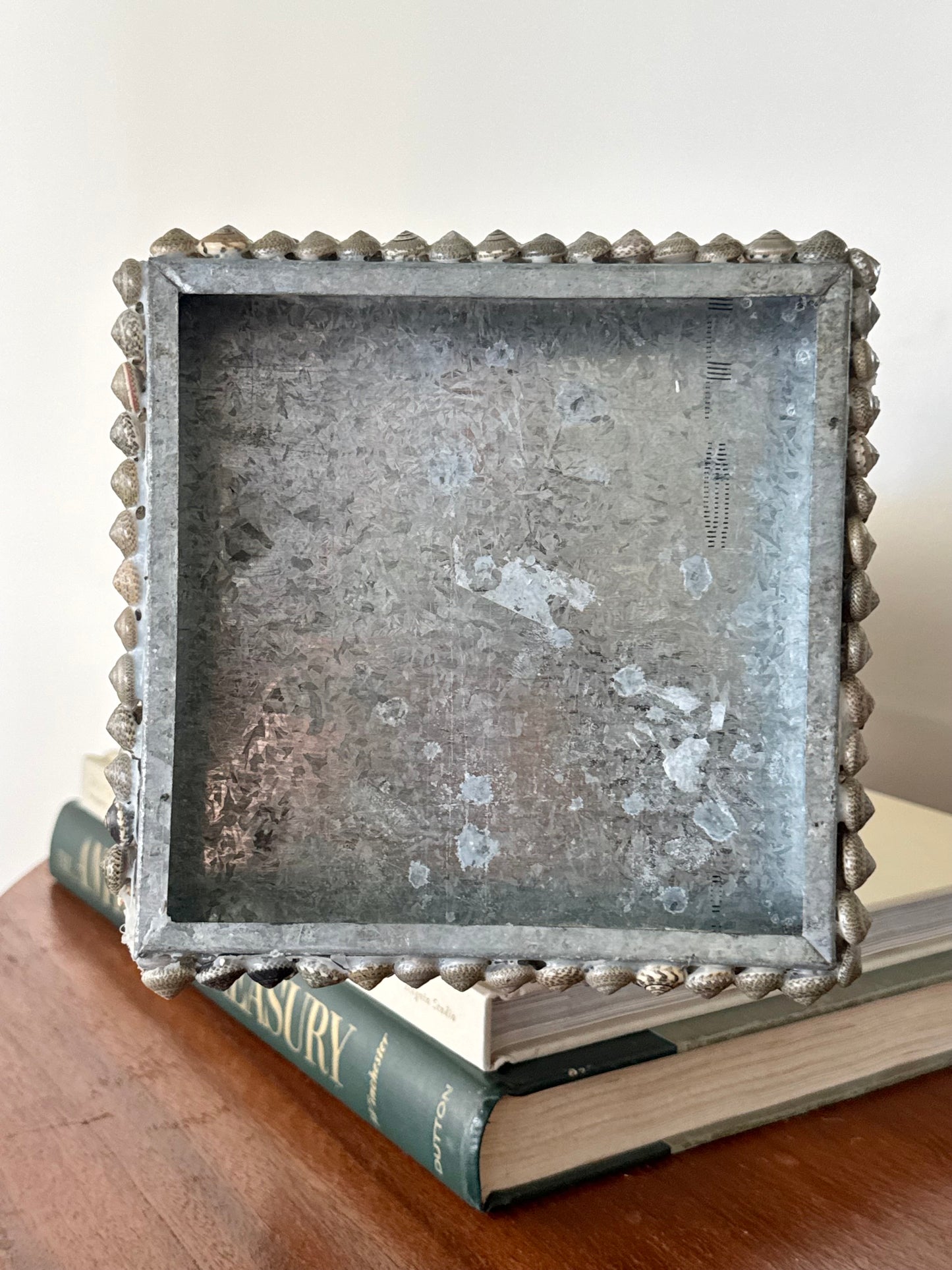 Coquillage Obelisk
