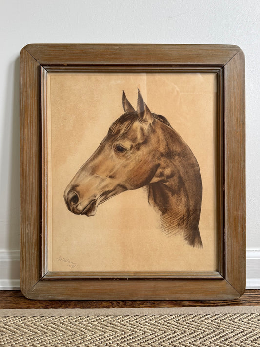 Framed Portrait of Seabiscuit