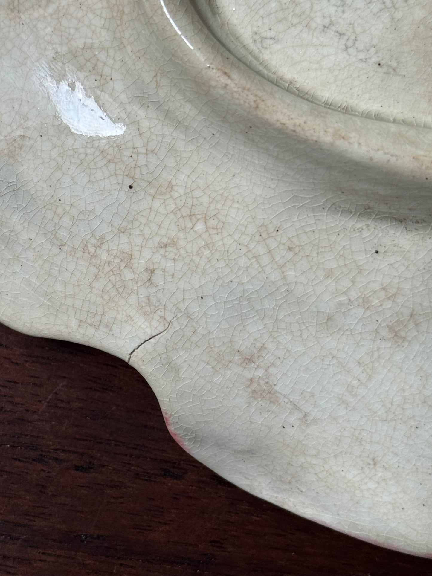 Antique Majolica Begonia Leaf