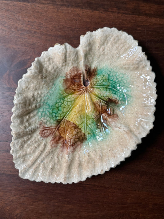 Antique Majolica Begonia Leaf