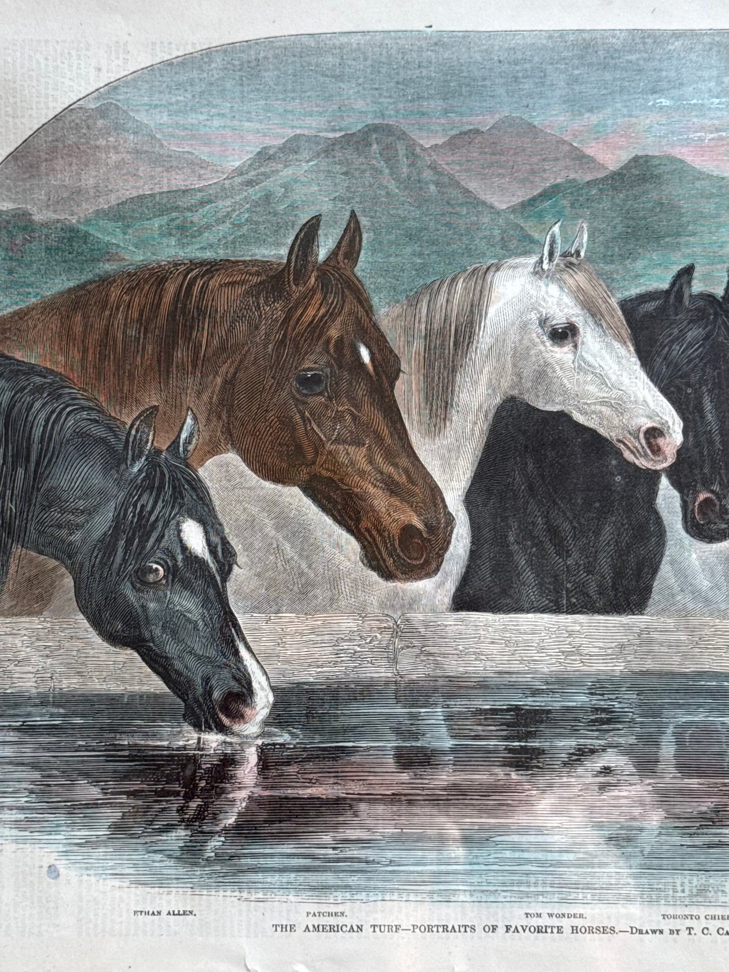 Antique Framed Horse Print