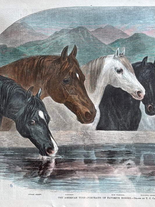 Antique Framed Horse Print
