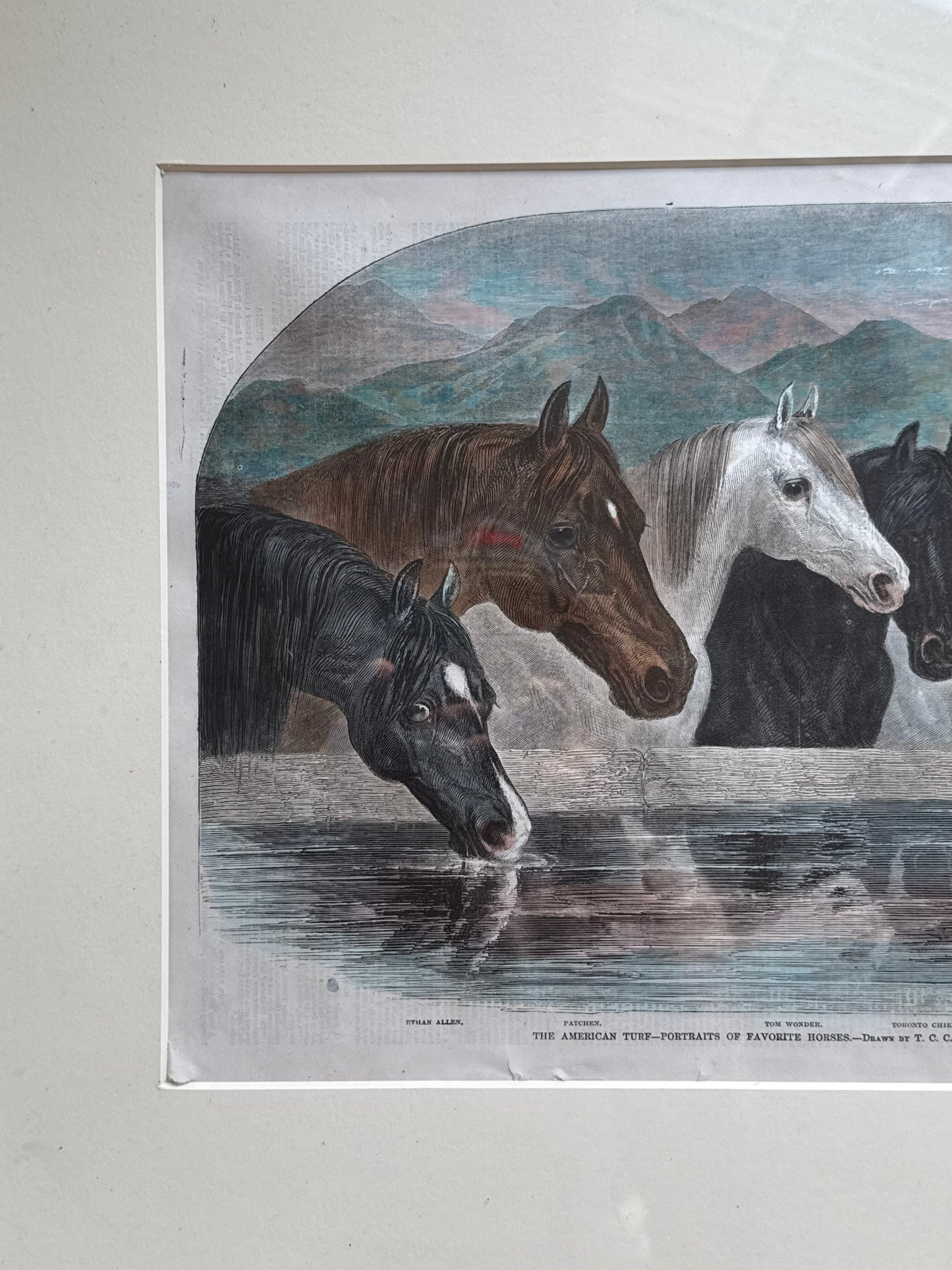 Antique Framed Horse Print