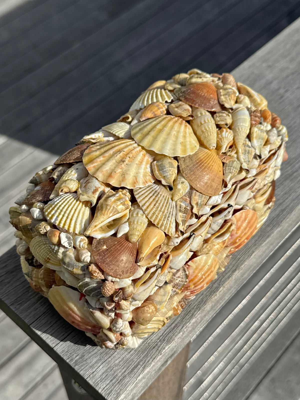 Vintage Sea Shell Box