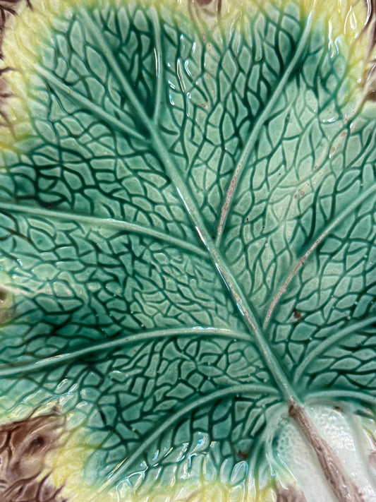 Majolica Oak Leaf