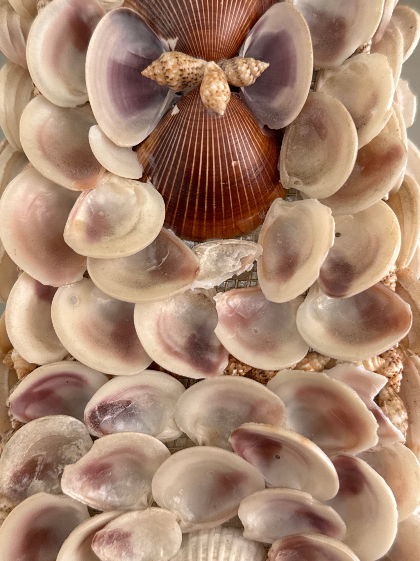 Coquillage Obelisk