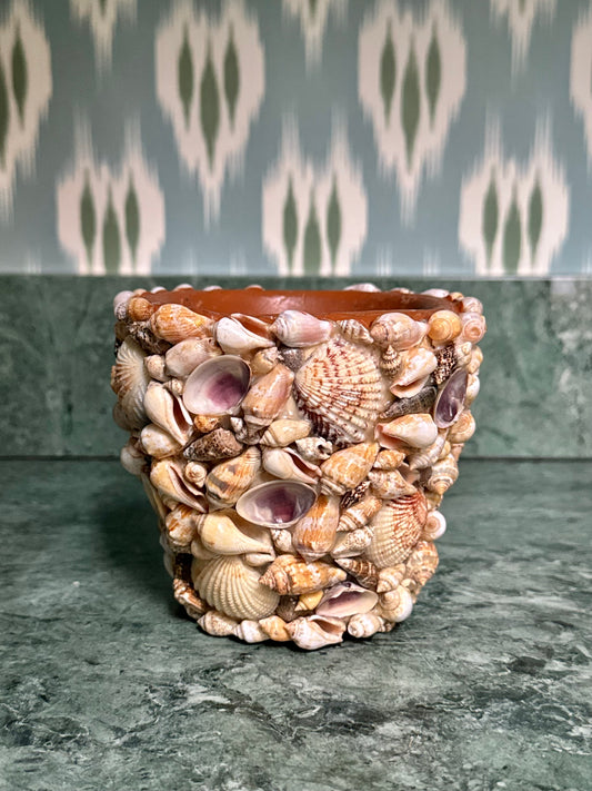 Seashell Encrusted Plant Pot