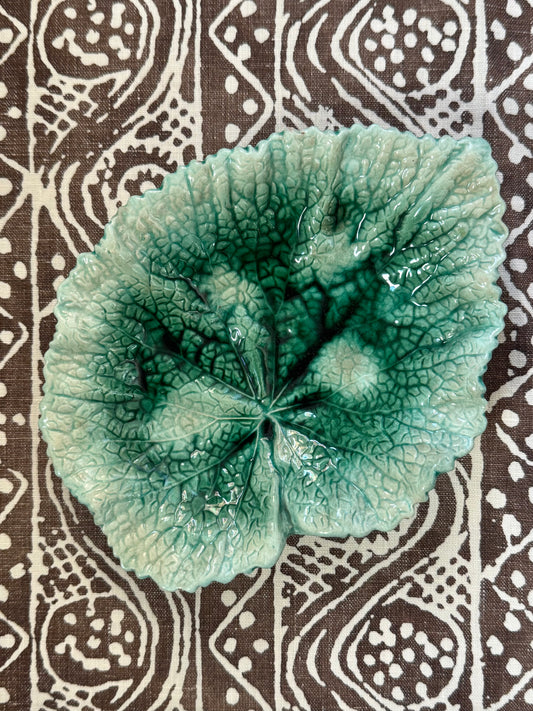 Majolica Begonia Leaf