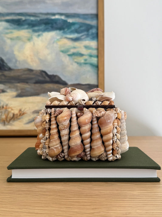 Vintage Sea Shell Box