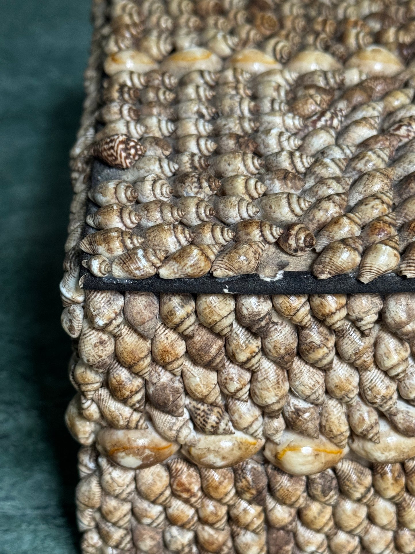 Brown Shell Encrusted Box