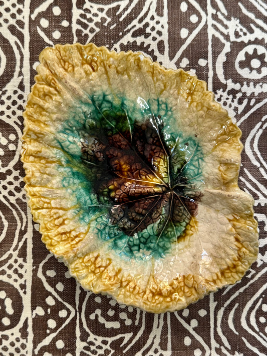 Majolica Begonia Leaf