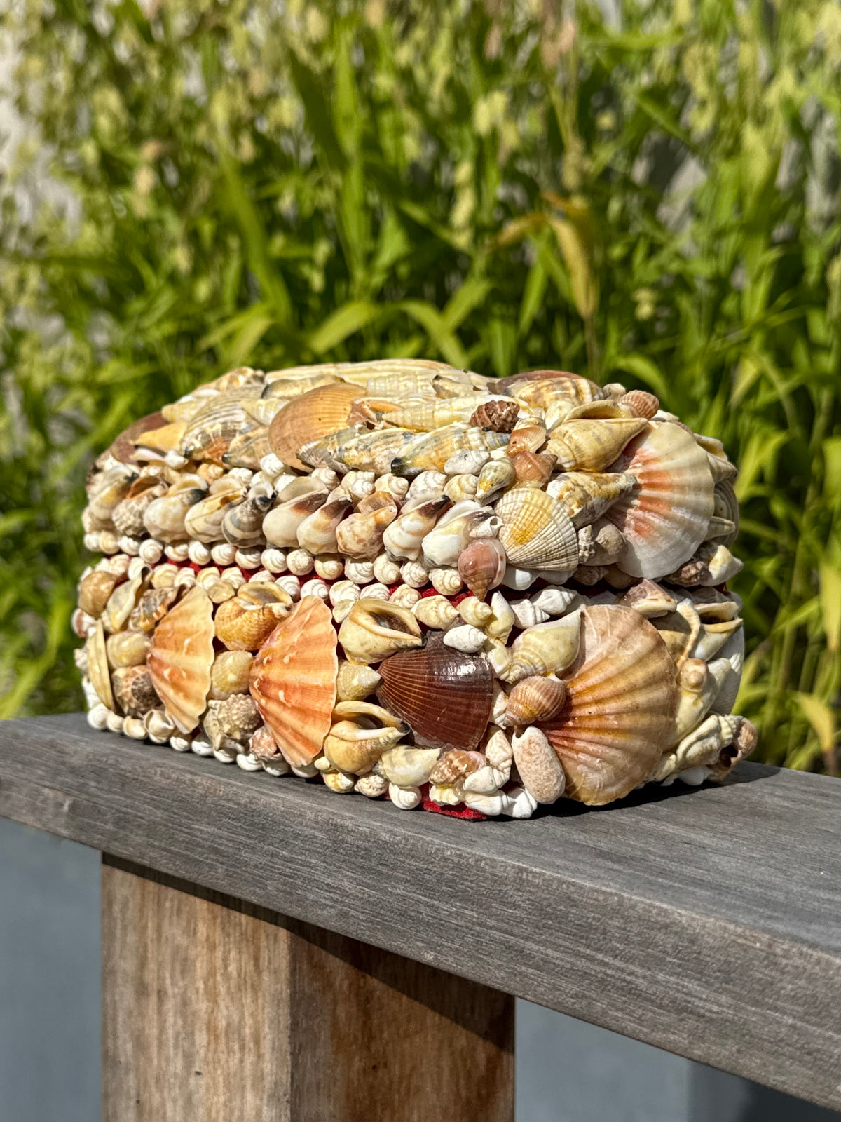 Vintage Sea Shell Box
