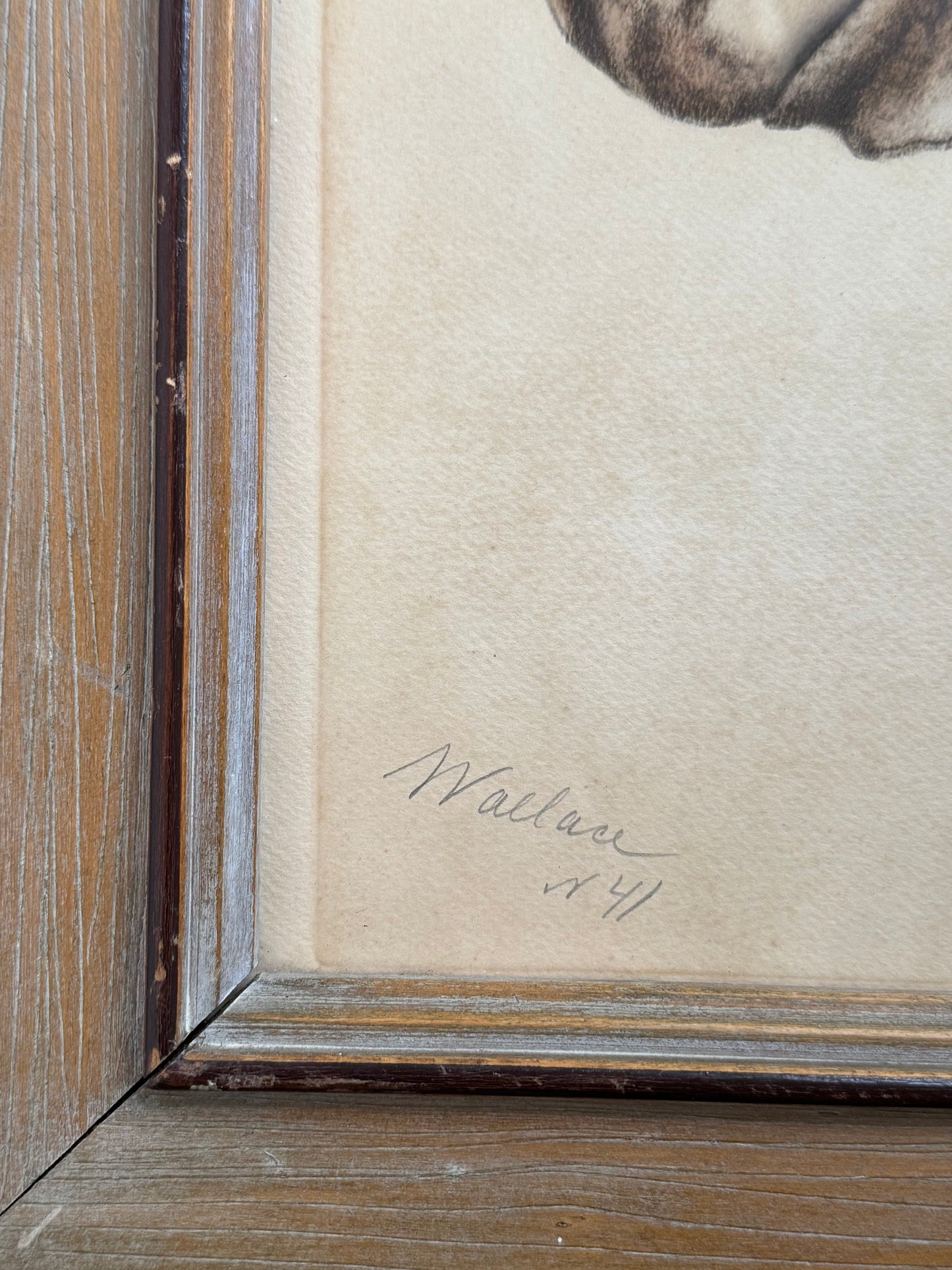 Framed Portrait of Seabiscuit